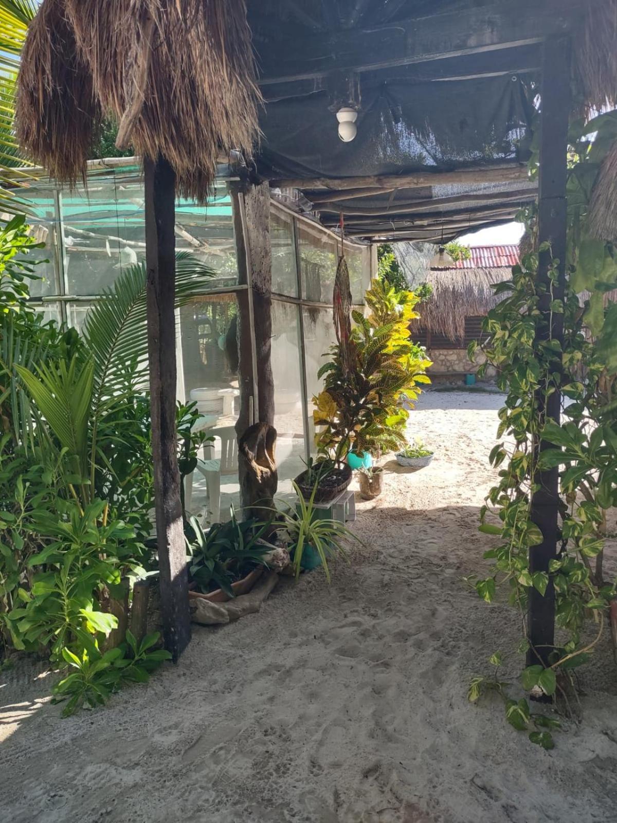 מאהאהואל Lunazul Eco-Cabana Frente Al Mar מראה חיצוני תמונה